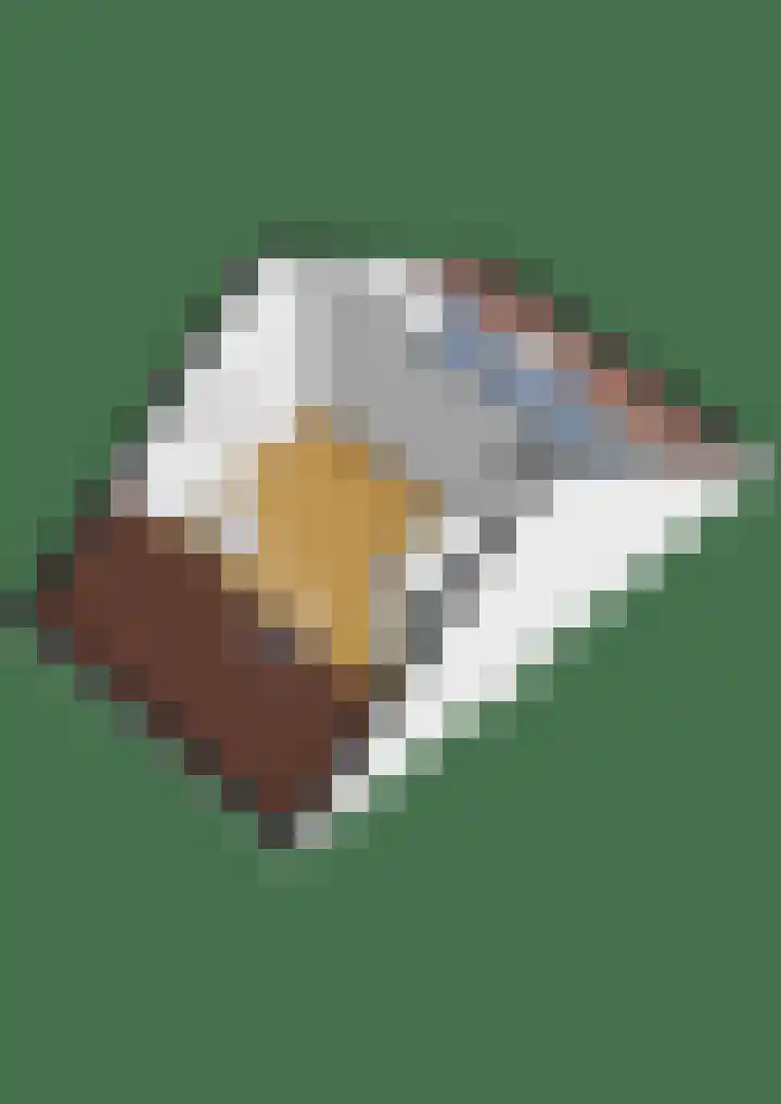 Prangelaar 14 Woudenberg thumbnail 38