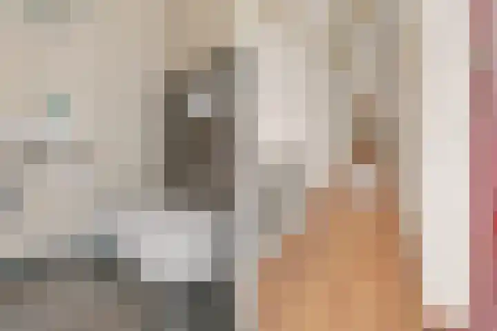 Prangelaar 14 Woudenberg thumbnail 7