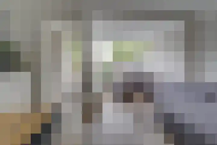 Prangelaar 44 Woudenberg thumbnail 11