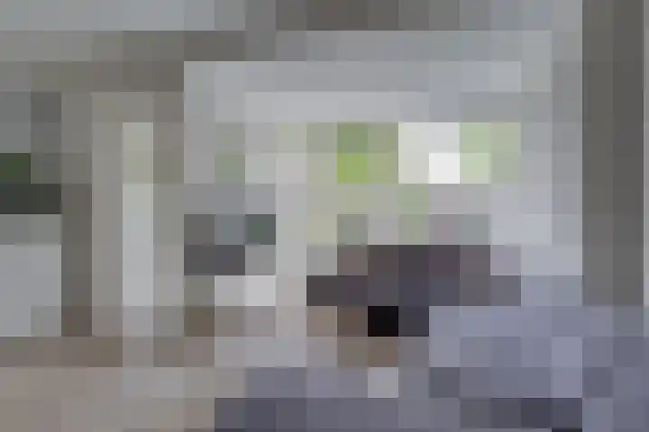 Prangelaar 44 Woudenberg thumbnail 13