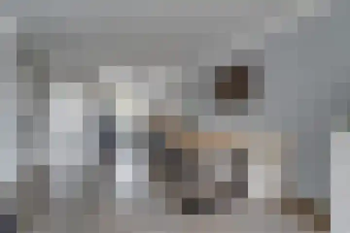 Prangelaar 44 Woudenberg thumbnail 16