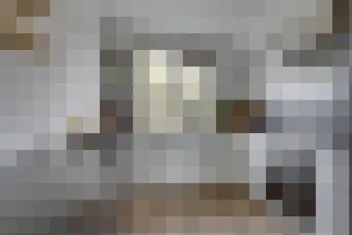 Prangelaar 44 Woudenberg thumbnail 18