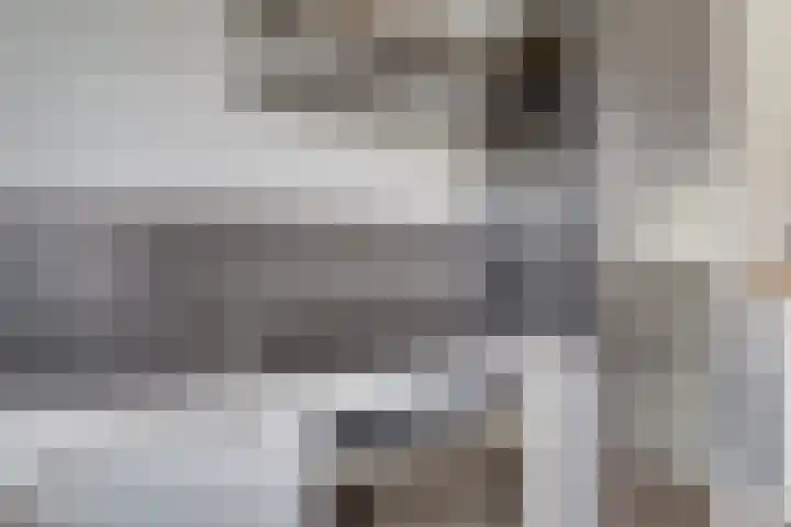 Prangelaar 44 Woudenberg thumbnail 21