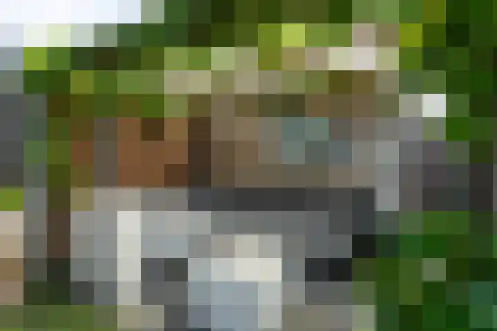 Prangelaar 44 Woudenberg thumbnail 25