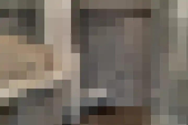 Prangelaar 44 Woudenberg thumbnail 34