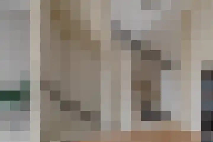 Prangelaar 44 Woudenberg thumbnail 37