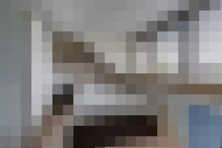 Prangelaar 44 Woudenberg thumbnail 40