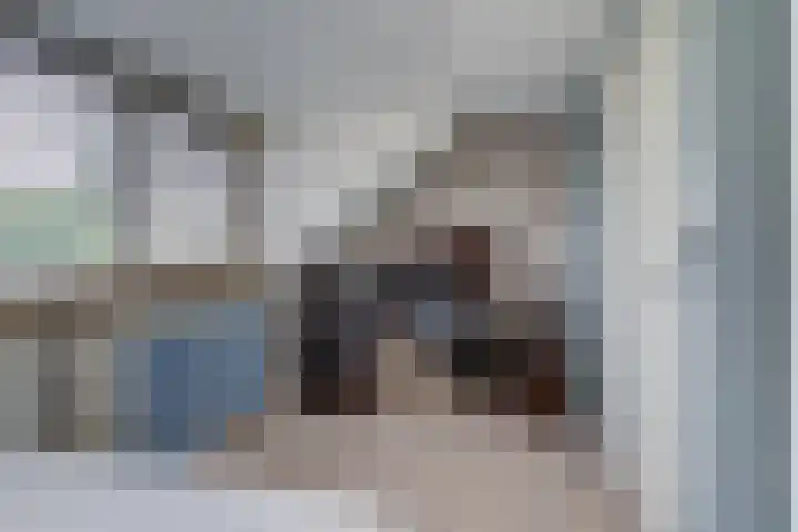 Prangelaar 44 Woudenberg thumbnail 41