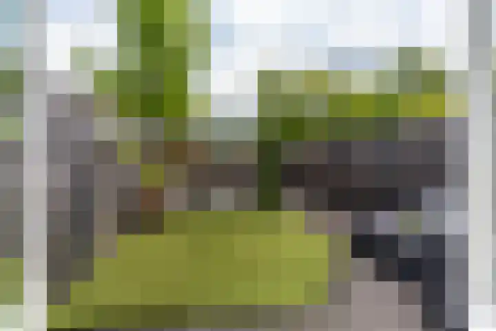 Prangelaar 44 Woudenberg thumbnail 5