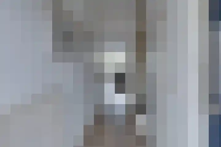 Prangelaar 44 Woudenberg thumbnail 9