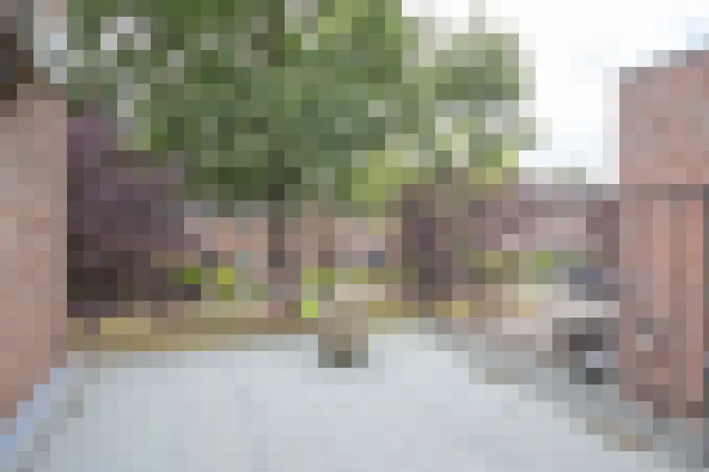 Prangelaar 57 Woudenberg thumbnail 24
