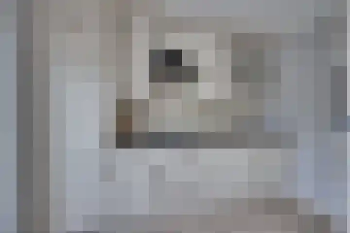 Prasem 3 Venlo thumbnail 12