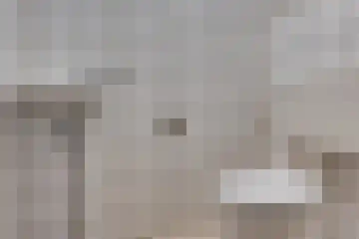 Prasem 3 Venlo thumbnail 17