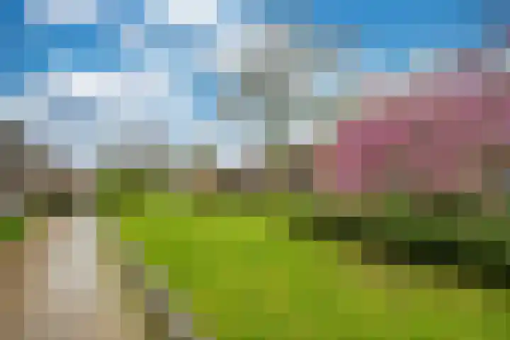 Prasem 3 Venlo thumbnail 41