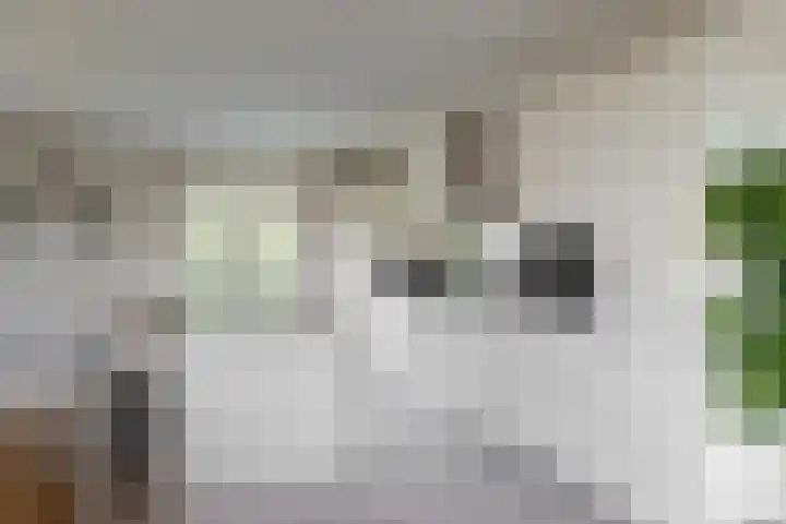 Praterlaan 122 Amsterdam thumbnail 14