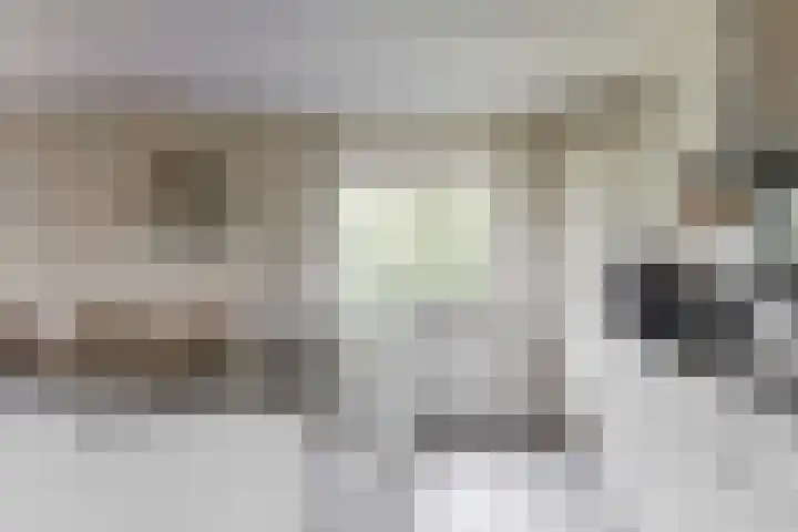 Praterlaan 122 Amsterdam thumbnail 16