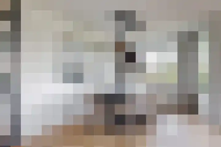 Praterlaan 122 Amsterdam thumbnail 19