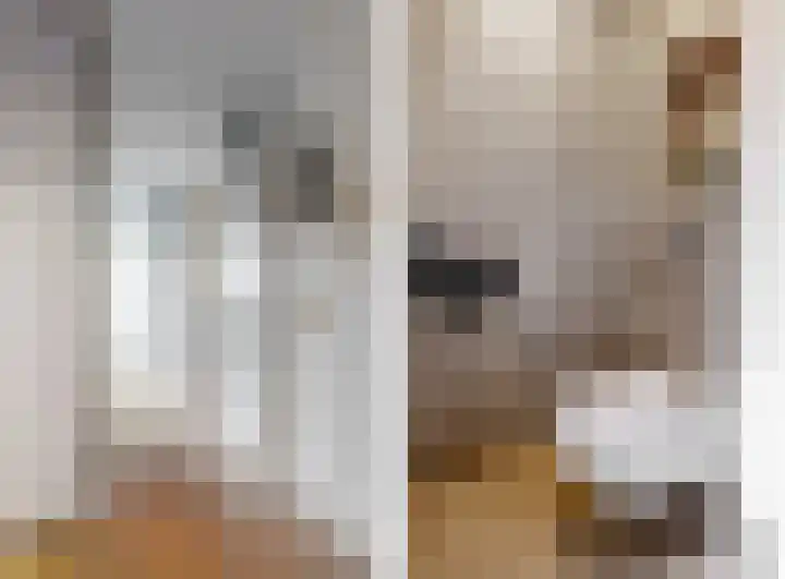 Praterlaan 122 Amsterdam thumbnail 20