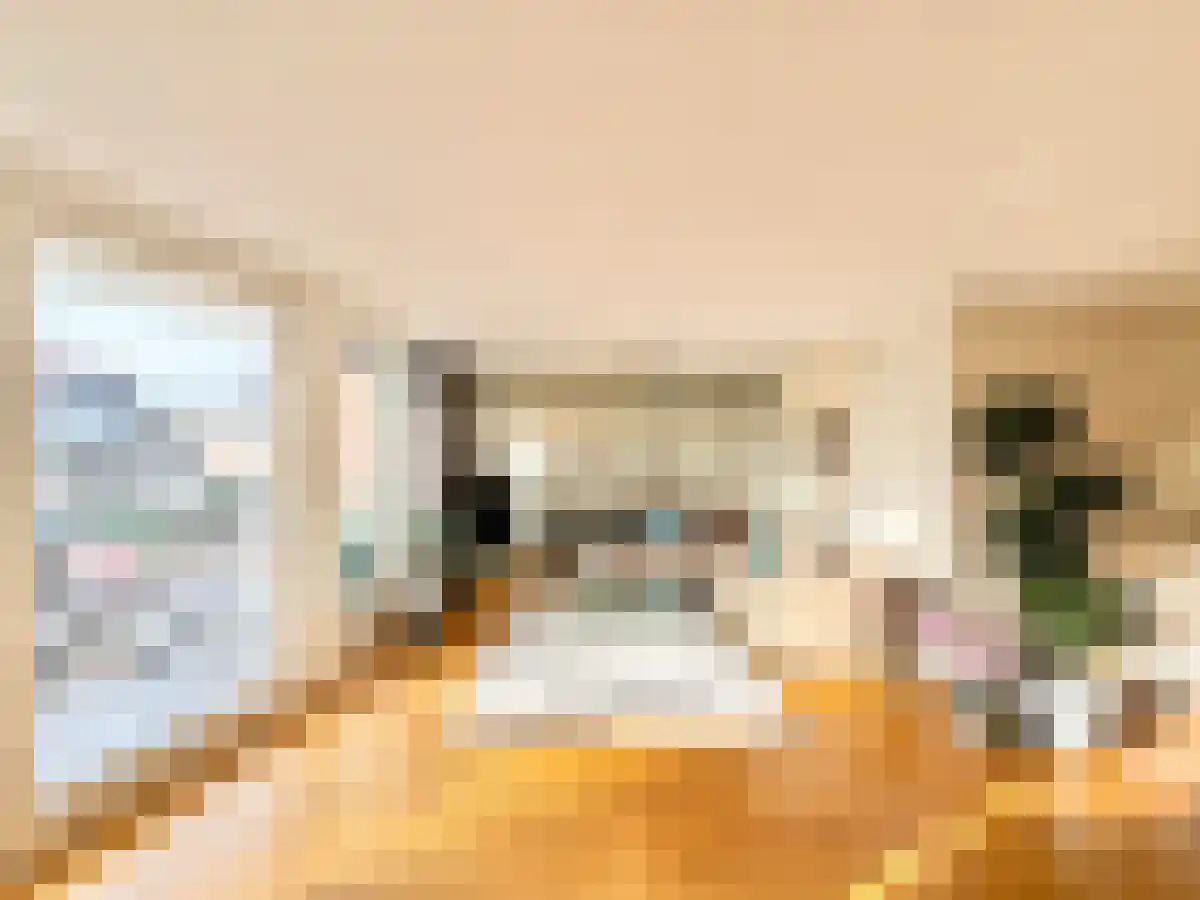 Praterlaan 154 Amsterdam thumbnail 6