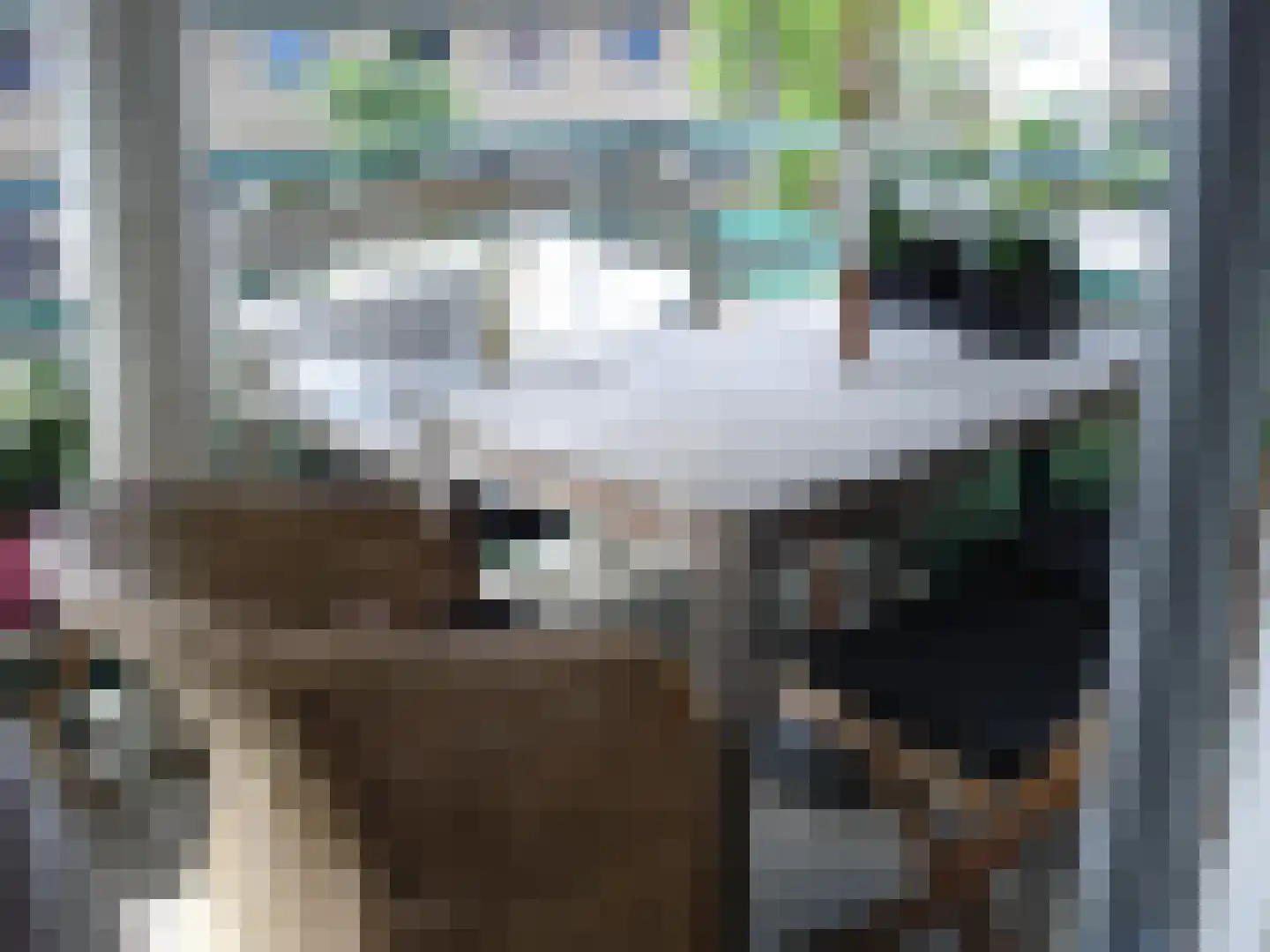 Praterlaan 158 Amsterdam thumbnail 21