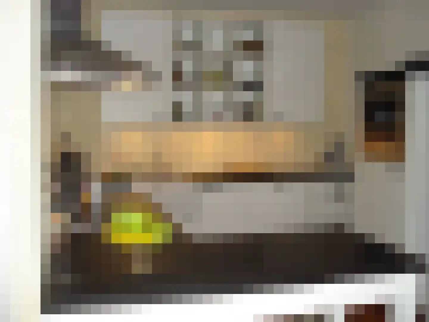 Praterlaan 158 Amsterdam thumbnail 7