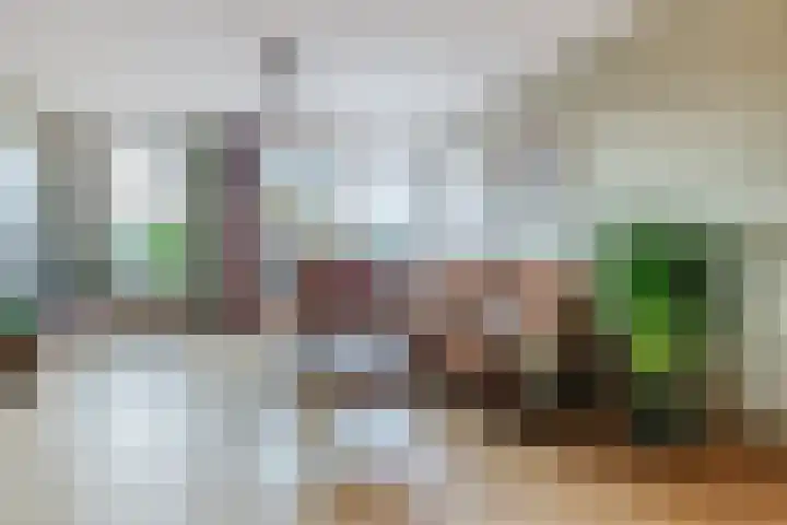 Praterlaan 190 Amsterdam thumbnail 10