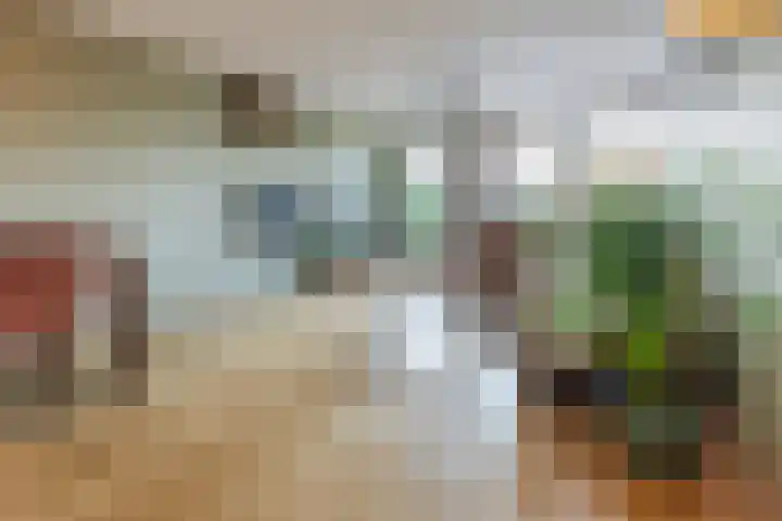Praterlaan 190 Amsterdam thumbnail 11