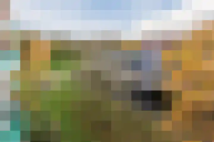Praterlaan 190 Amsterdam thumbnail 15