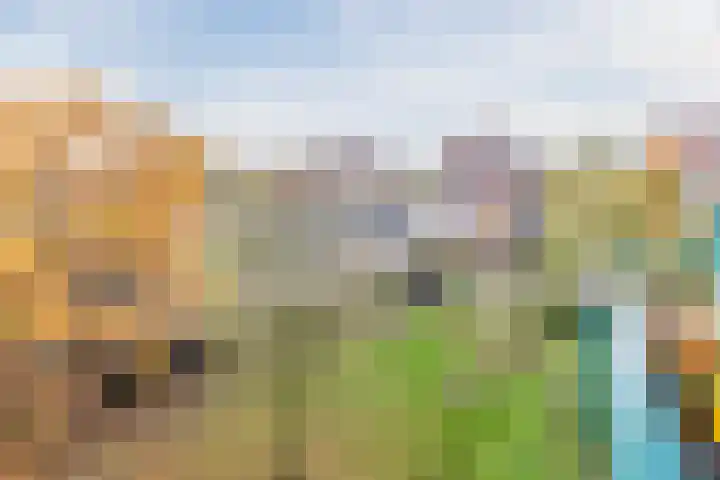 Praterlaan 190 Amsterdam thumbnail 16