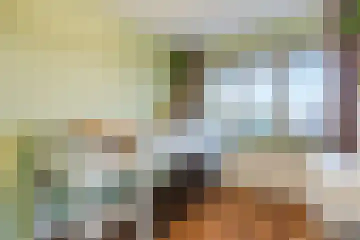 Praterlaan 190 Amsterdam thumbnail 33