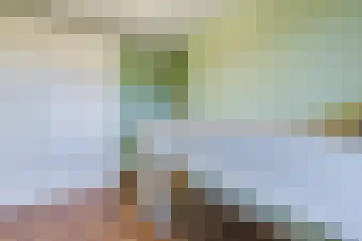 Praterlaan 190 Amsterdam thumbnail 35
