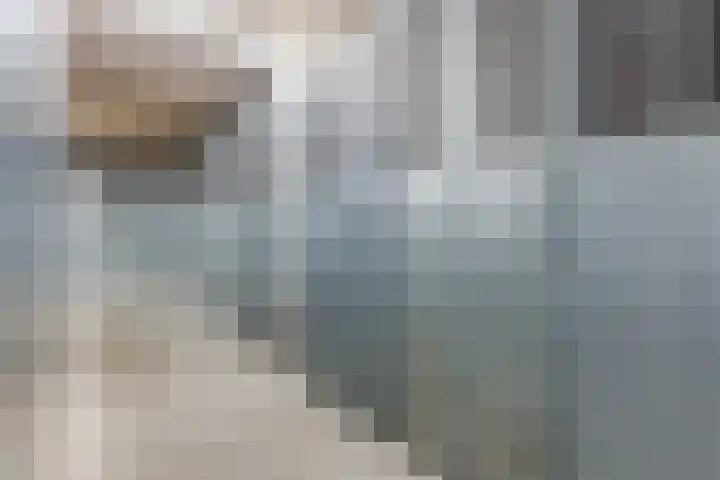 Praterlaan 190 Amsterdam thumbnail 37