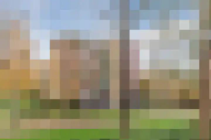 Praterlaan 190 Amsterdam thumbnail 44