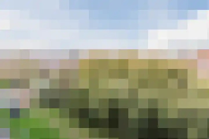 Praterlaan 190 Amsterdam thumbnail 8