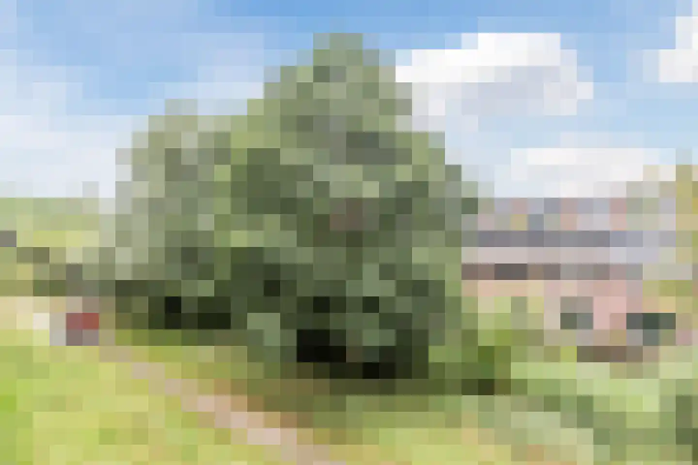 Praterlaan 42 Amsterdam thumbnail 37