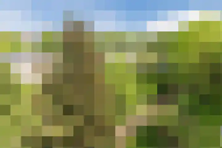 Praterlaan 60 Amsterdam thumbnail 32