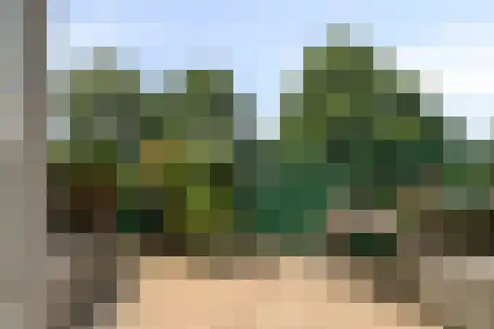 Praterlaan 64 Amsterdam thumbnail 15