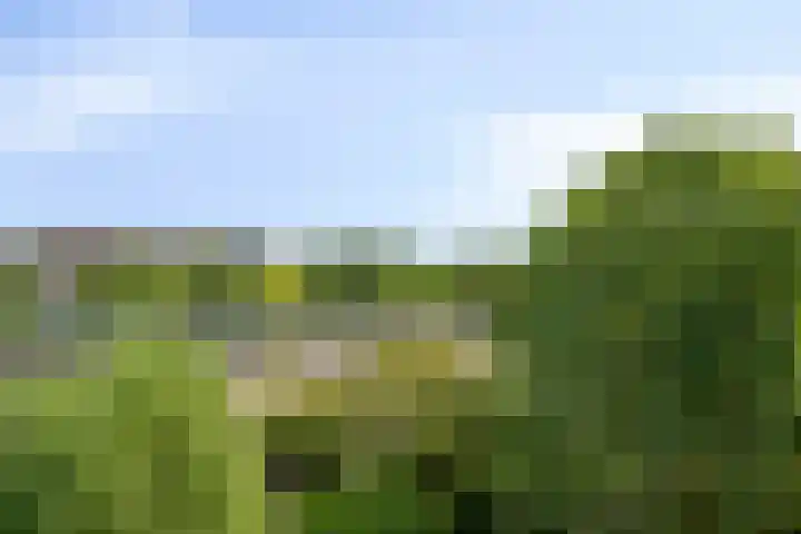 Praterlaan 64 Amsterdam thumbnail 16