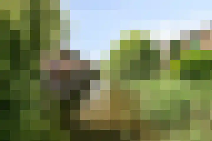 Praterlaan 64 Amsterdam thumbnail 30