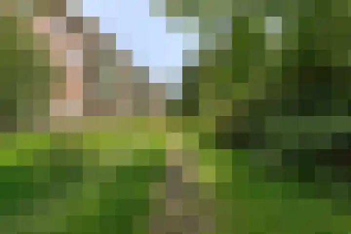 Praterlaan 64 Amsterdam thumbnail 31