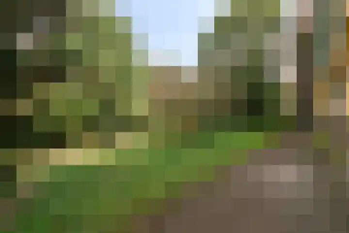 Praterlaan 64 Amsterdam thumbnail 32