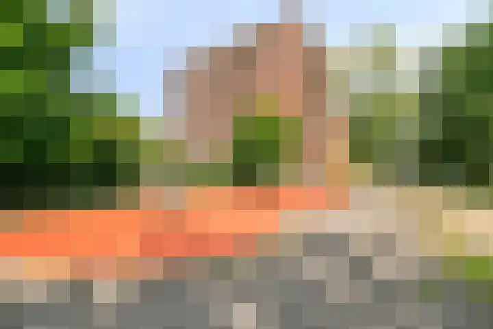 Praterlaan 64 Amsterdam thumbnail 33