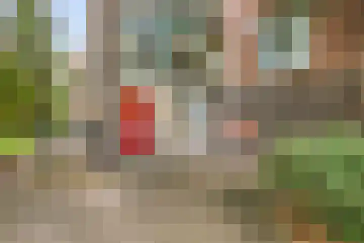 Praterlaan 64 Amsterdam thumbnail 5