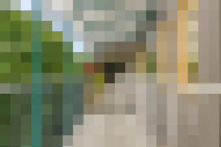 Praterlaan 64 Amsterdam thumbnail 7