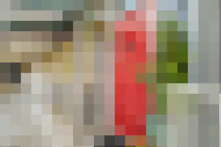 Praterlaan 64 Amsterdam thumbnail 8