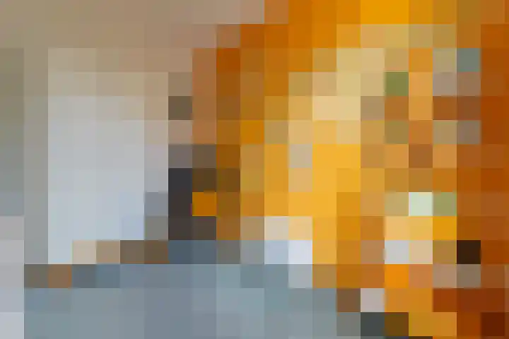 Prattenburg 1 Vleuten thumbnail 19