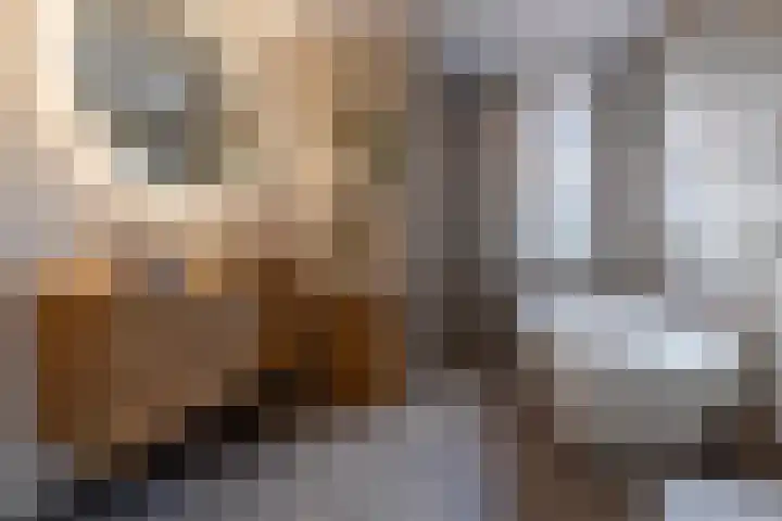 Prattenburg 1 Vleuten thumbnail 21
