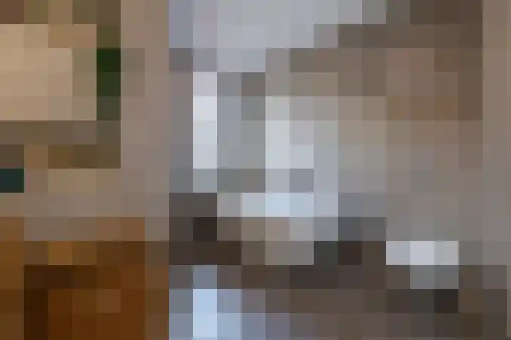 Prattenburg 1 Vleuten thumbnail 23