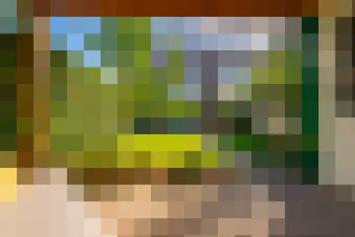Prattenburg 1 Vleuten thumbnail 33