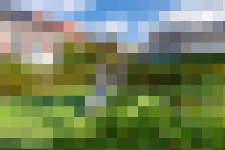Prattenburg 1 Vleuten thumbnail 35